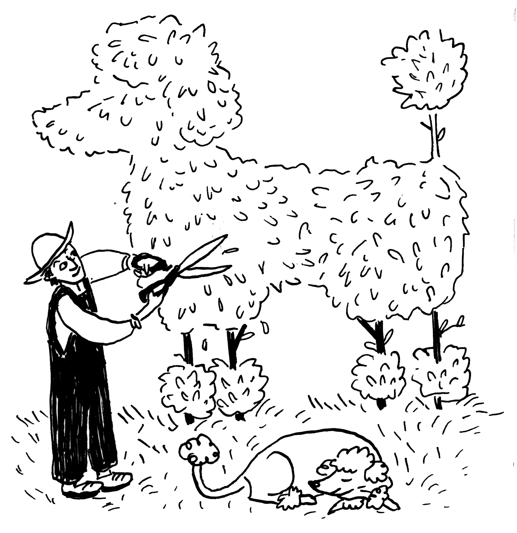 Topiary sketch.png