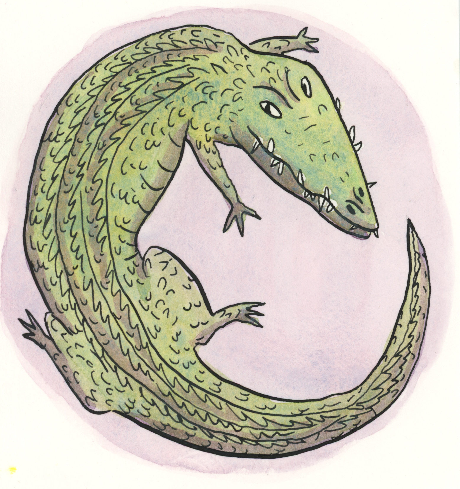Alligator color test.png