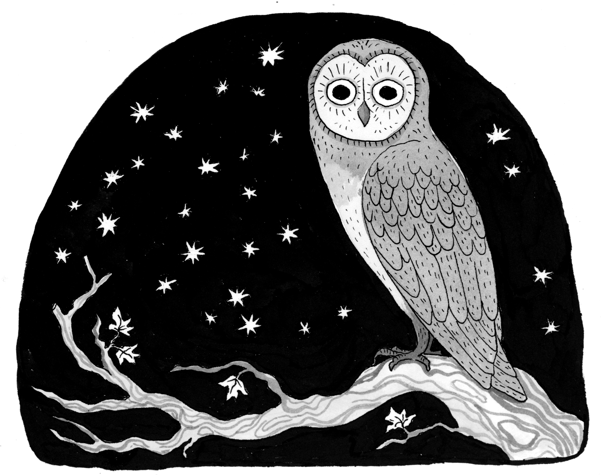 9.26 owl.png