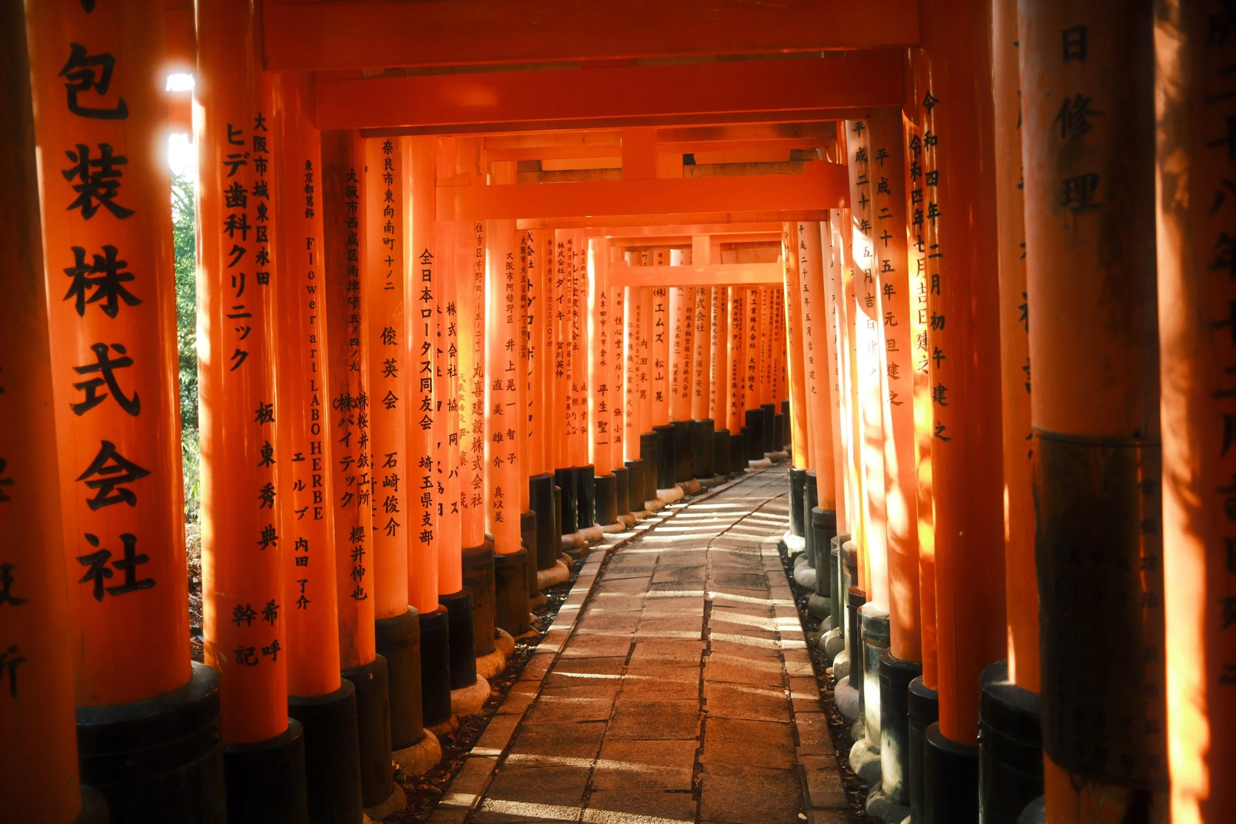 torii gates
