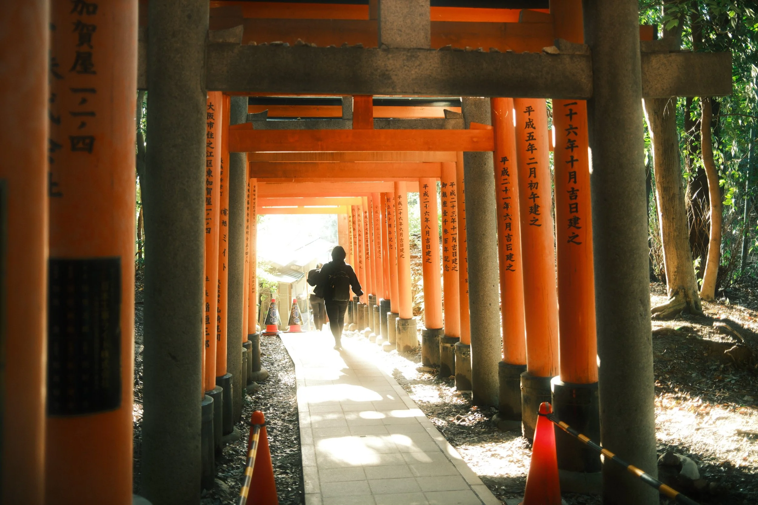 torii gates
