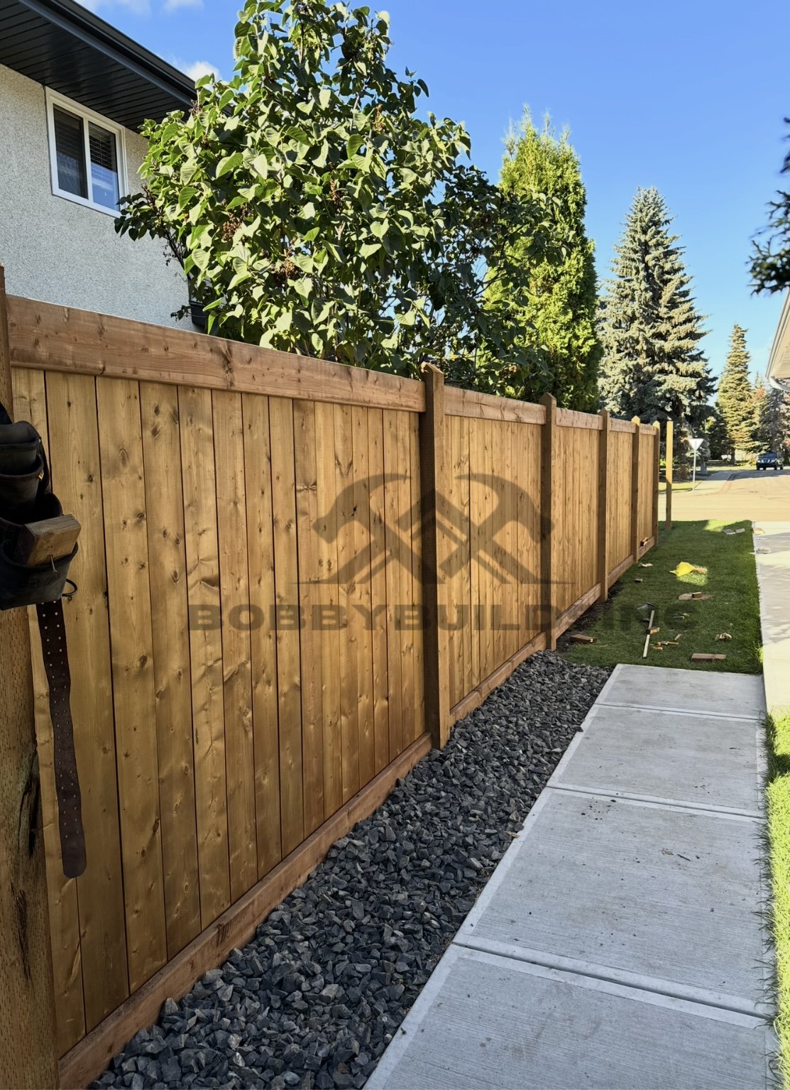 Untitled design.png.jpeg