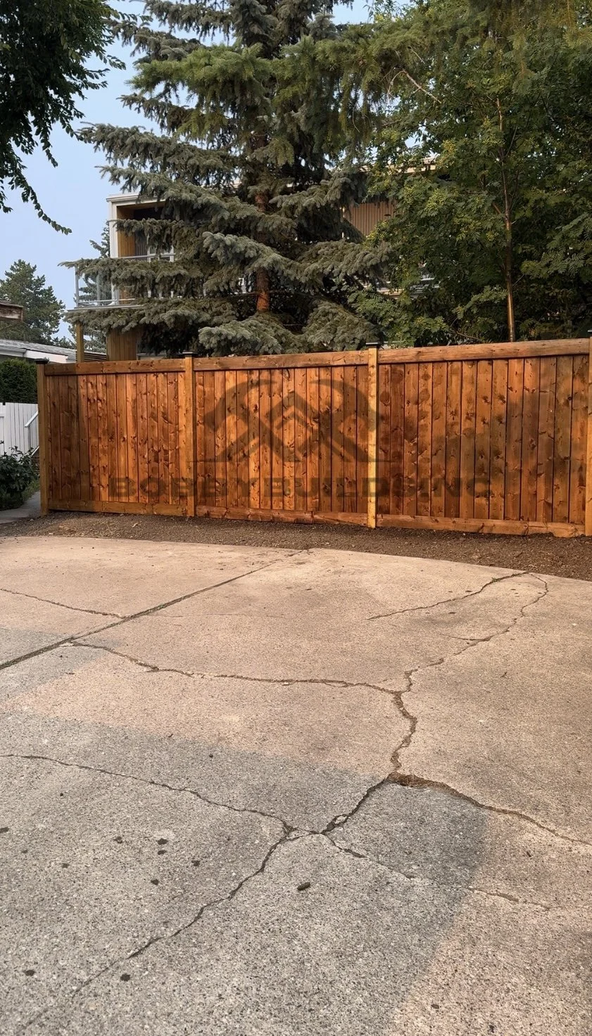 Untitled design.png.jpeg