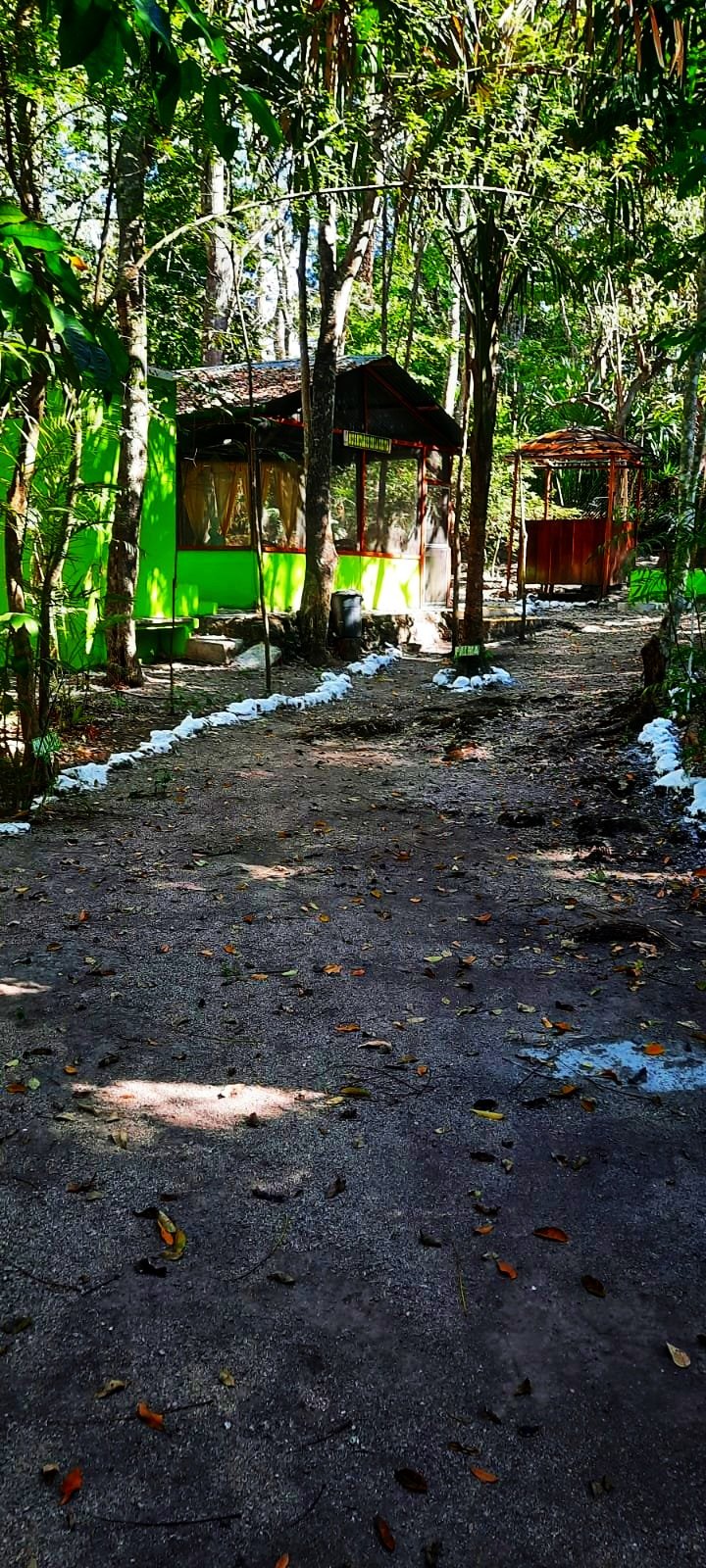 Murmullos de la Selava Hotel Ecológico El Sotz'