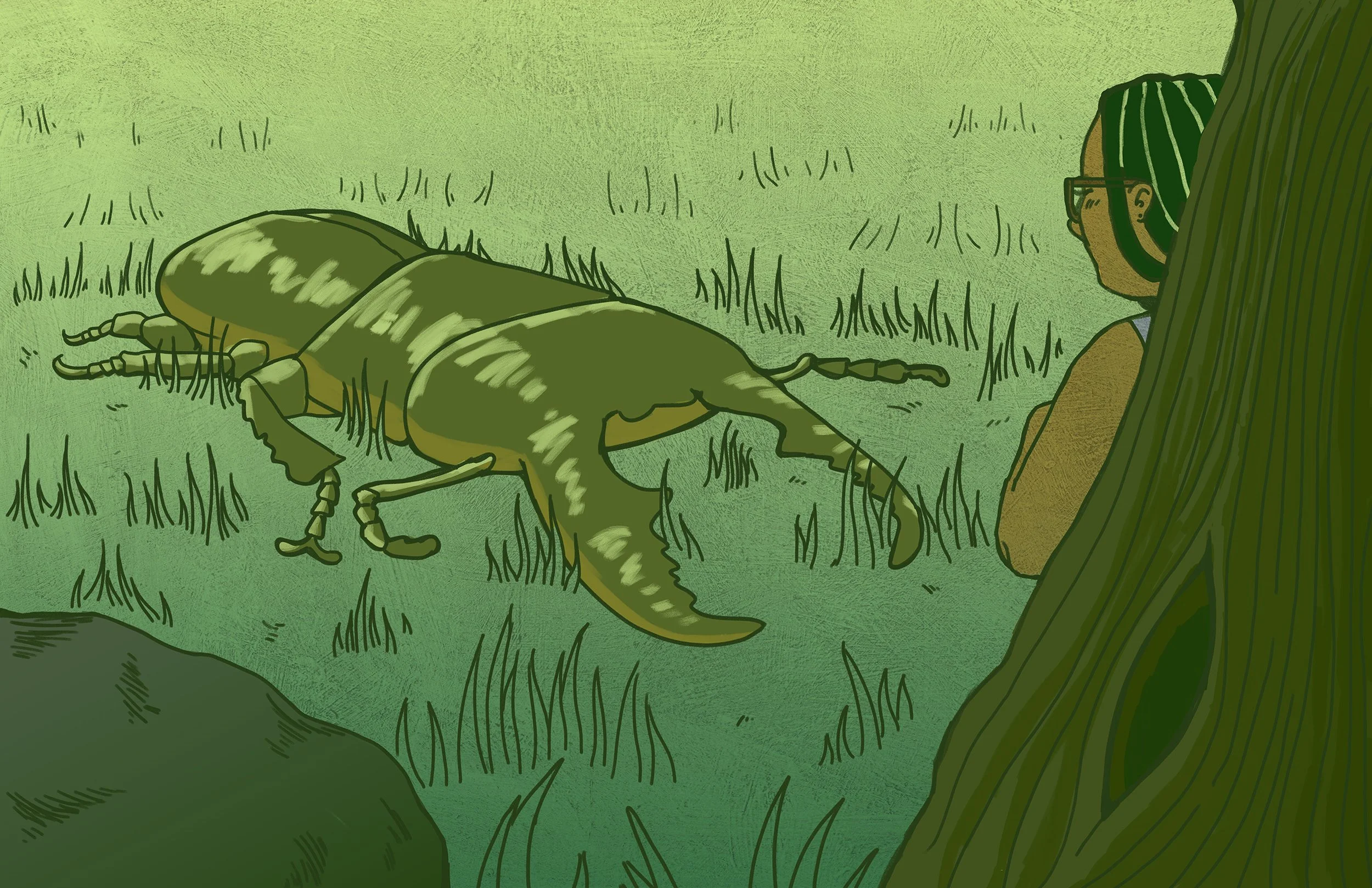 Beetle Cannot Become Butterflies