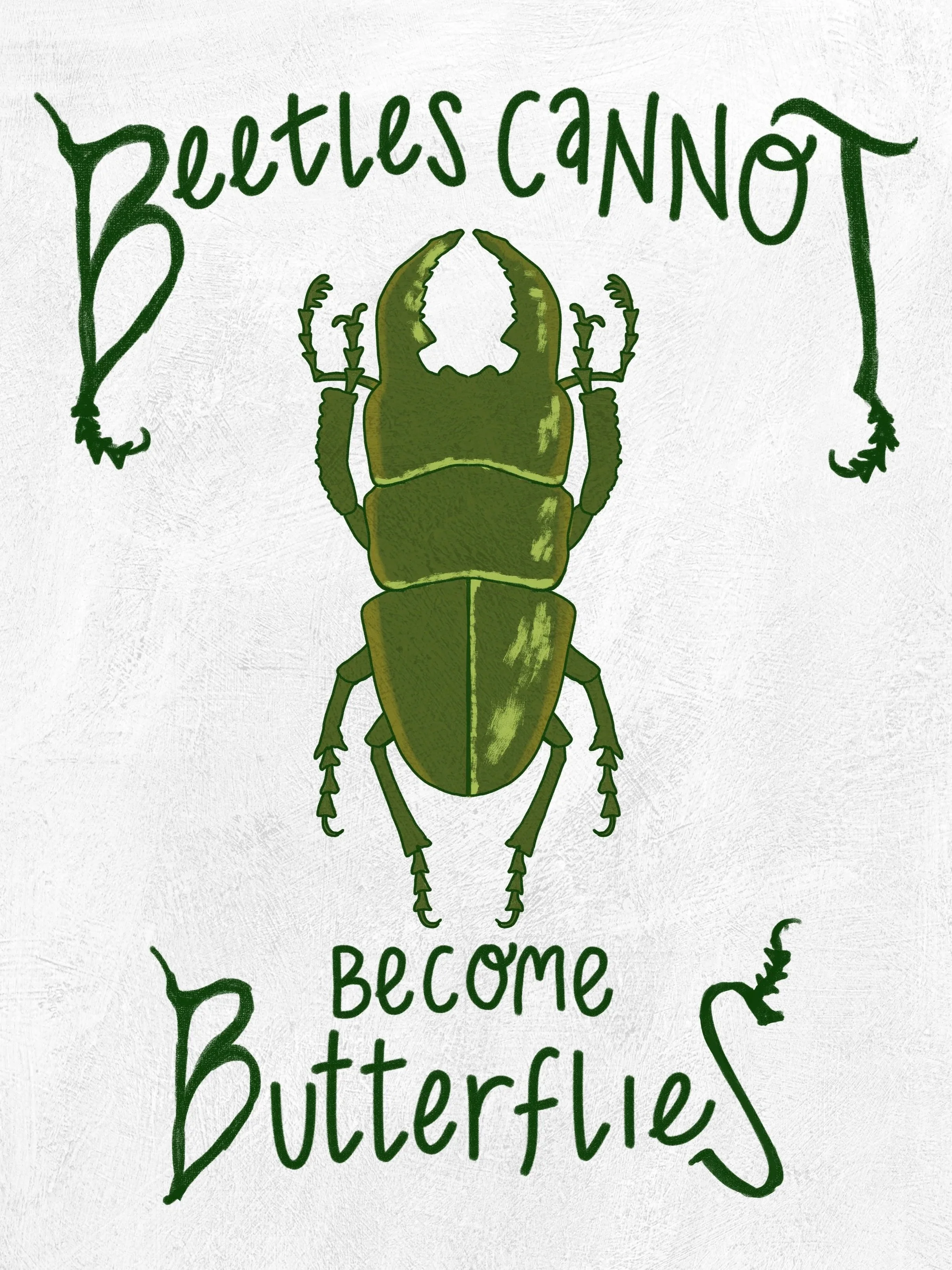 Beetles Cannot Become Butterflies