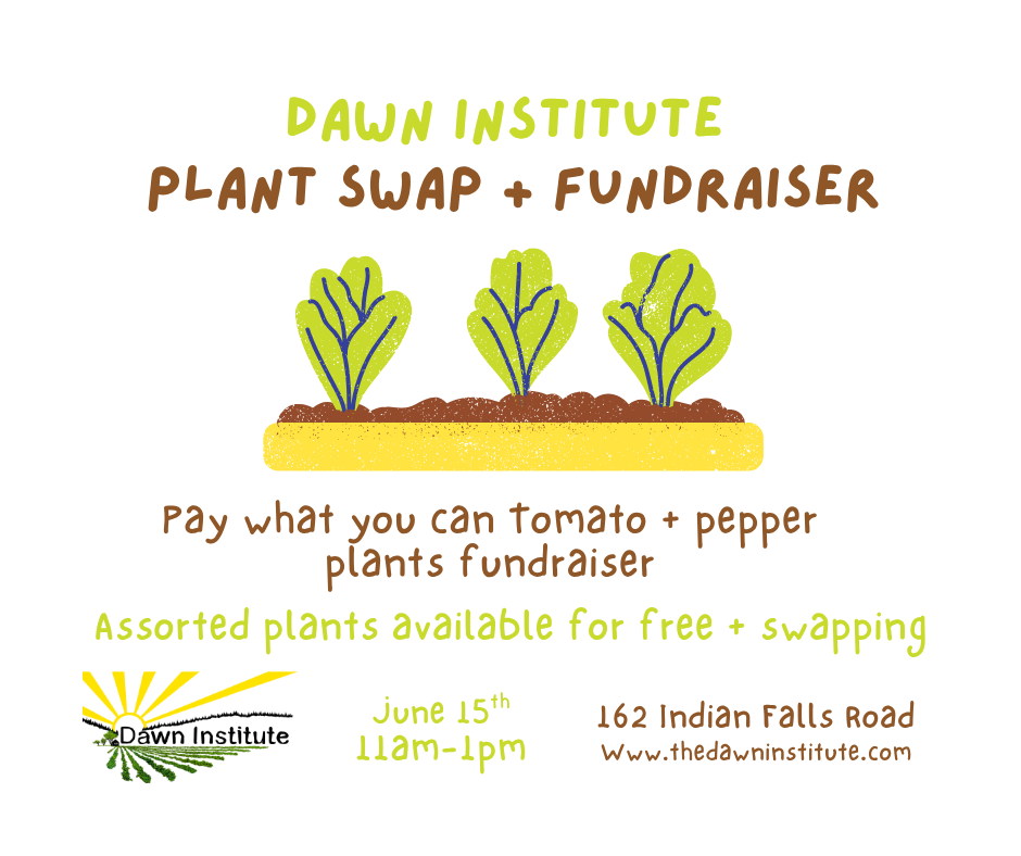 Plant Swap & Fundraiser