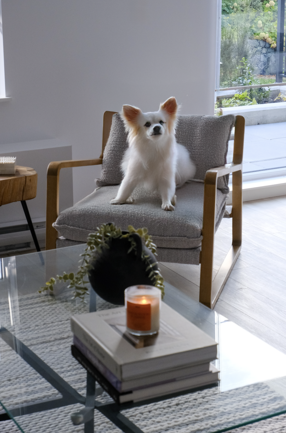 Dog Chair.png