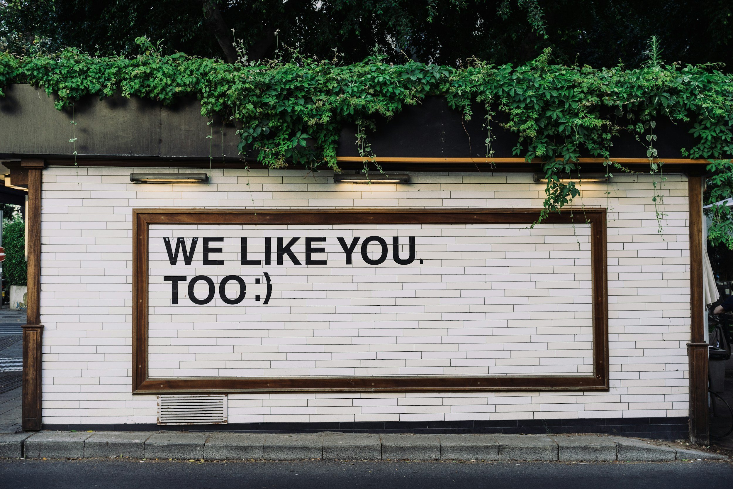 Leverage Social Proof