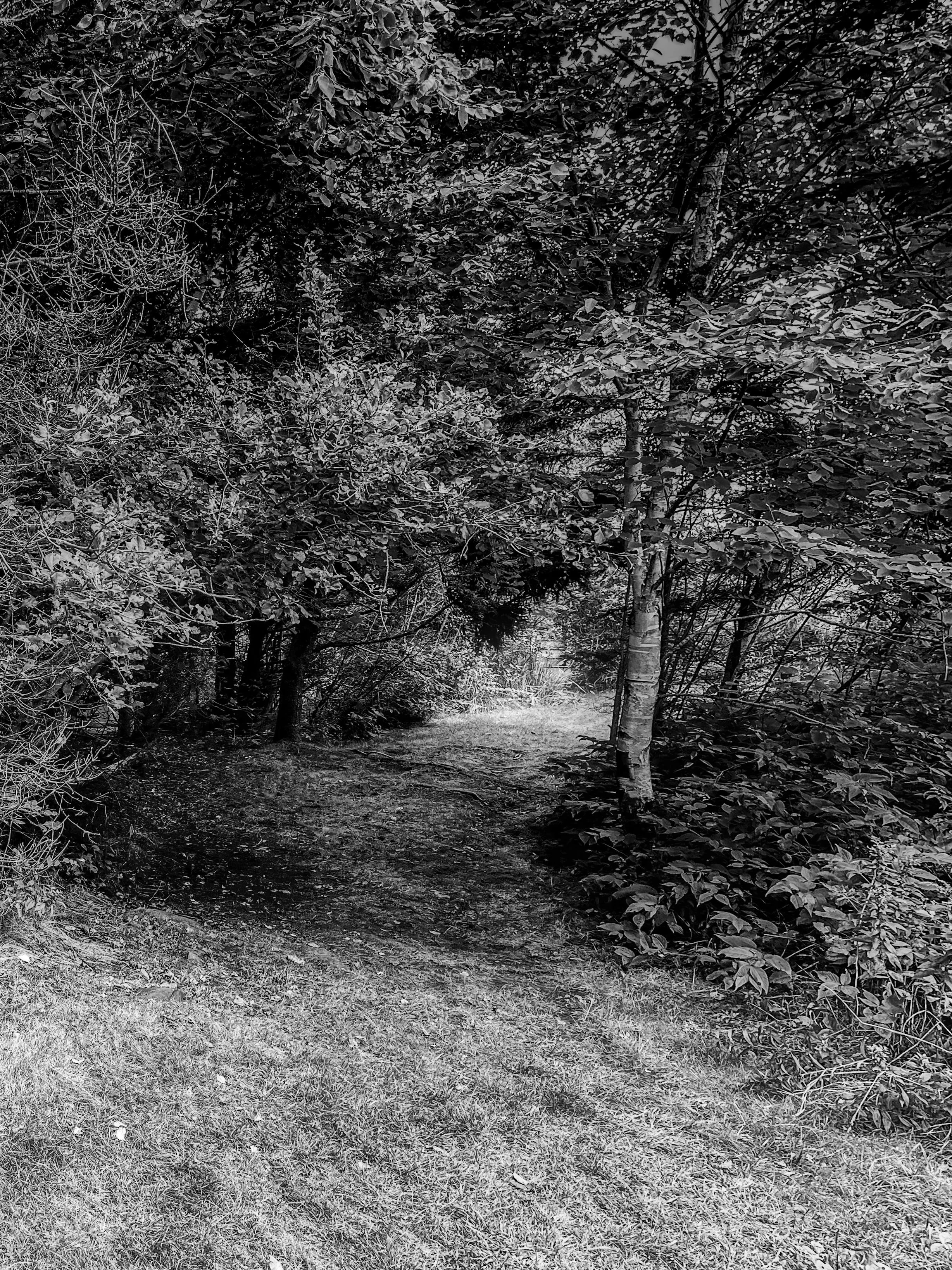 IMG_0808.jpeg