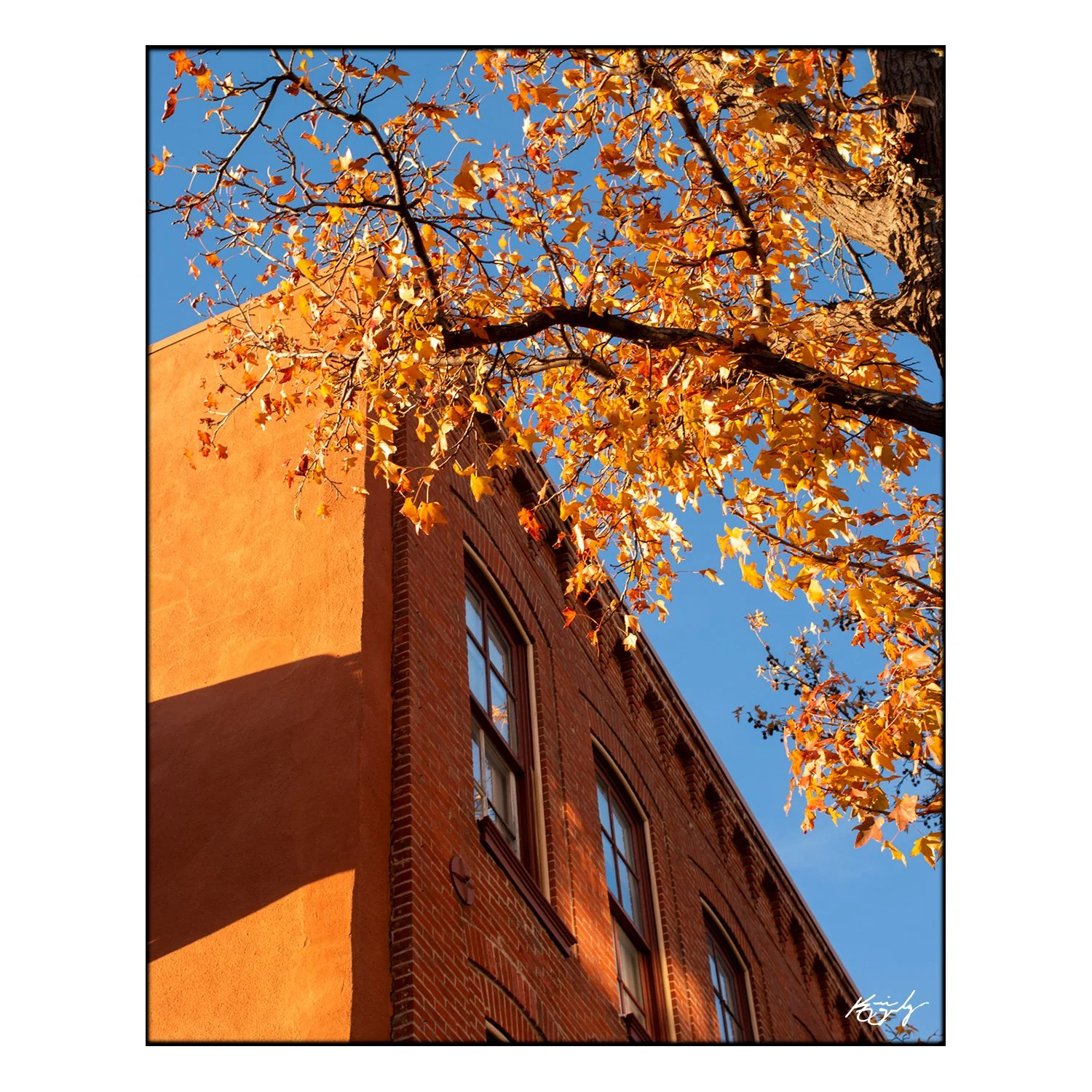 at-typegon-autumnkc.jpg