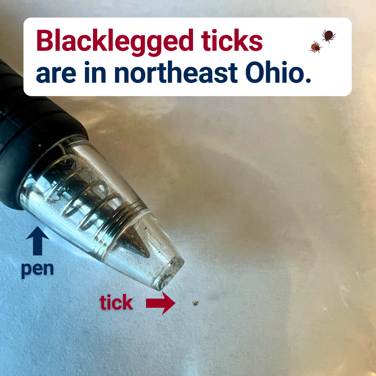 Access Fund Spotlight: Northeast Ohio PIO Workgroup