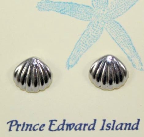 Silver Shell Earrings
