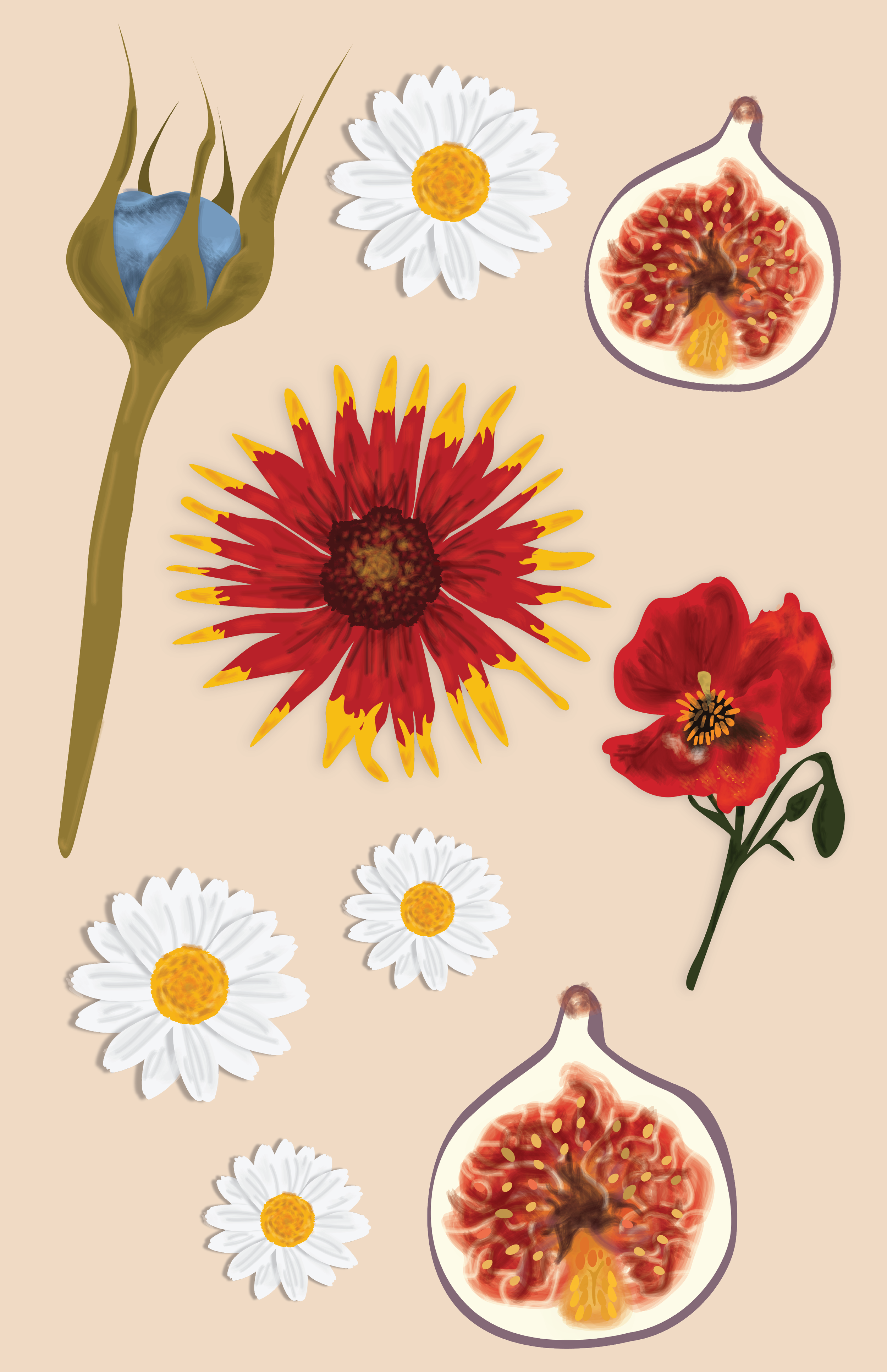Flowersandfigs.png