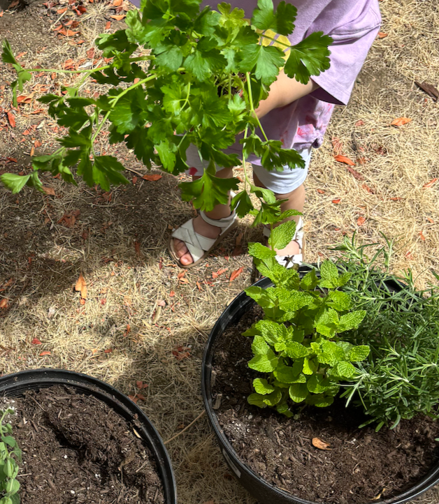 Gardening