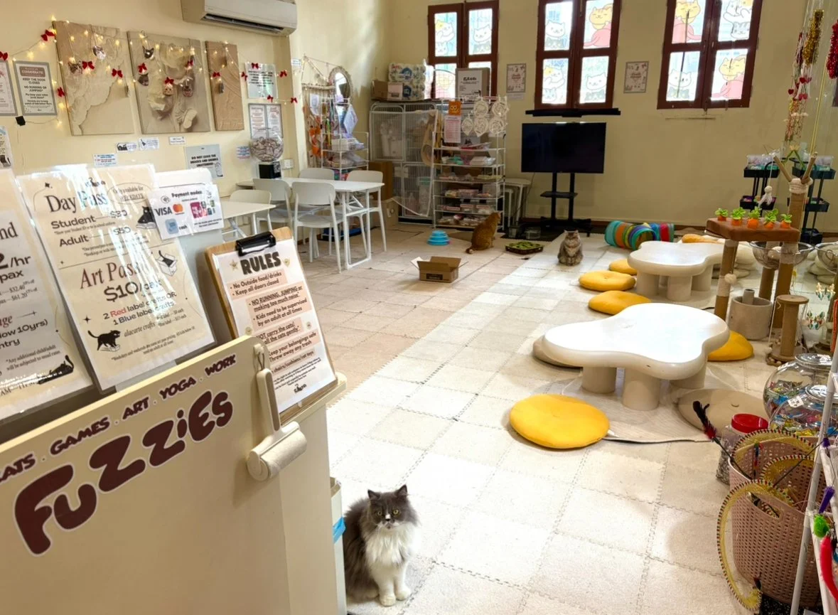 View recent photos.jpeg