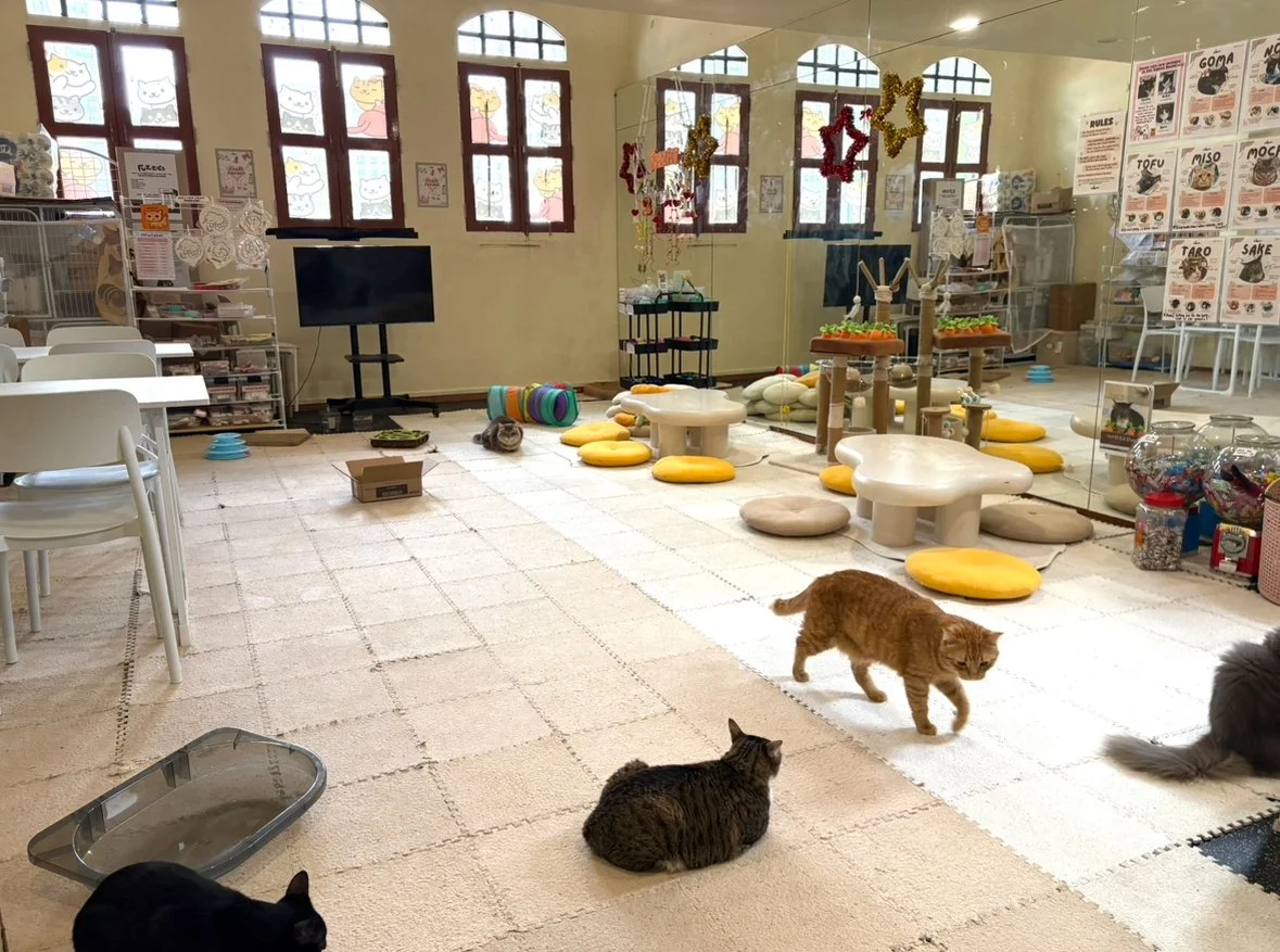 View recent photos 2.jpeg