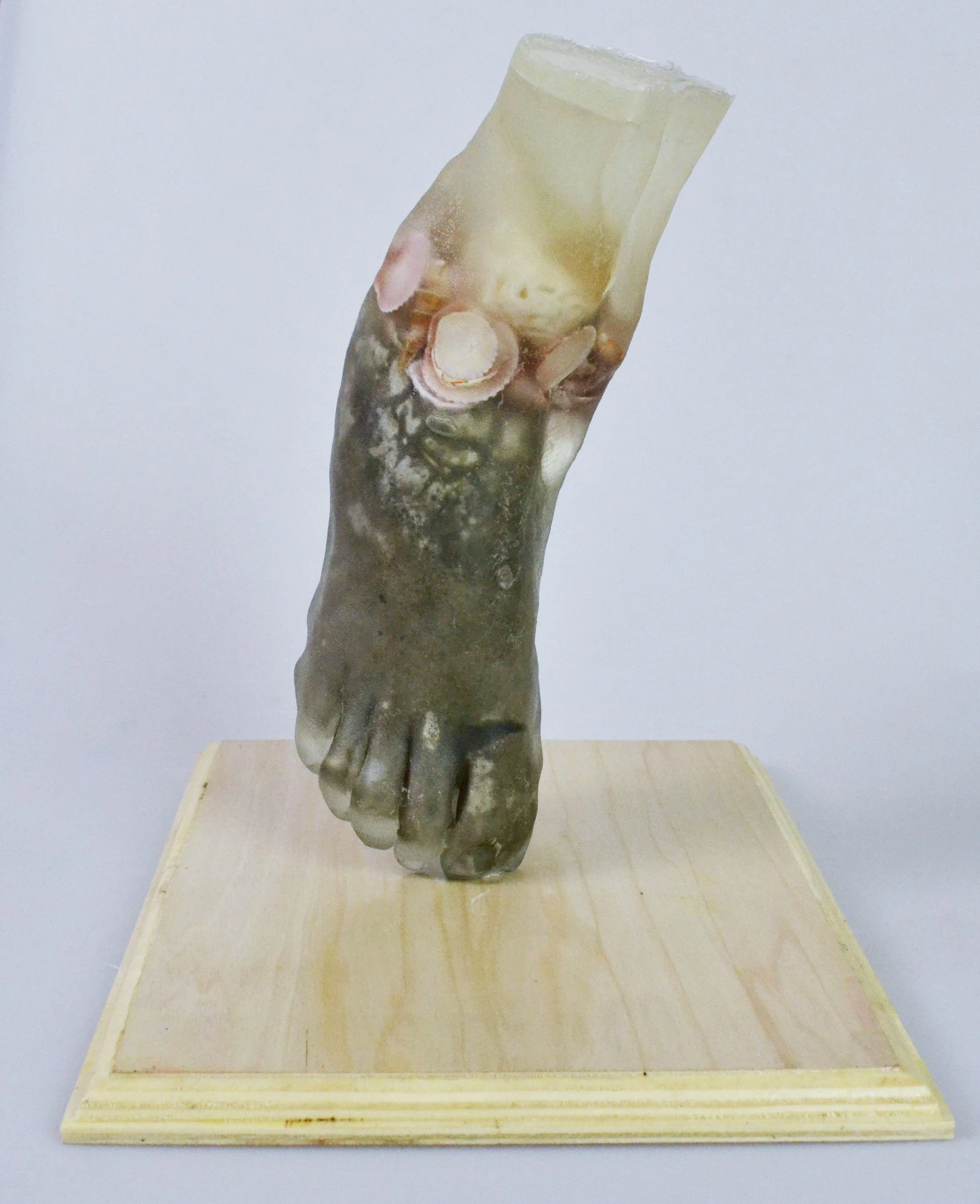 Succumb to the Sea 
11 x 12 x 9 
2020