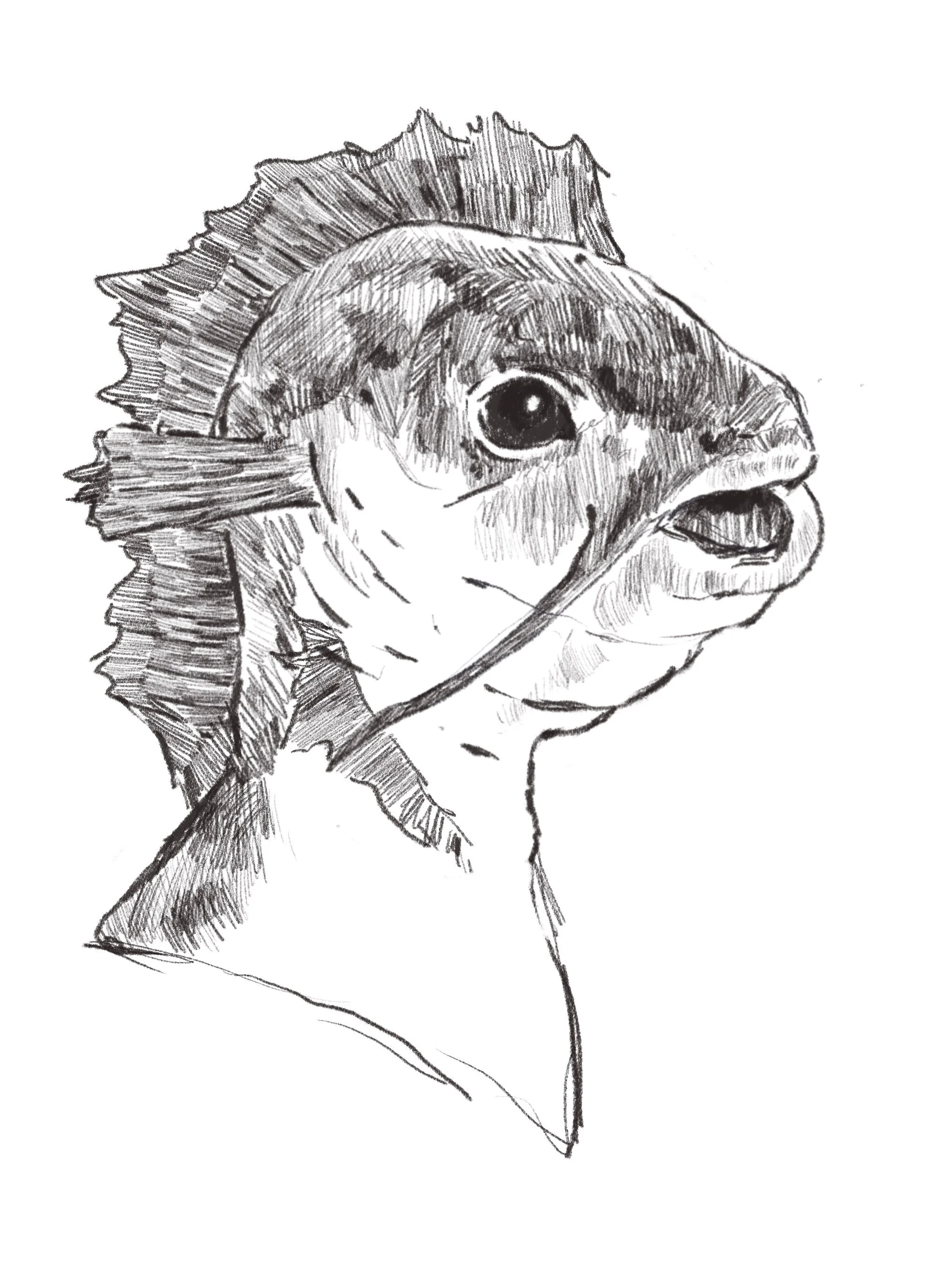 Sea Monster Mask Concept Sketches, 2026