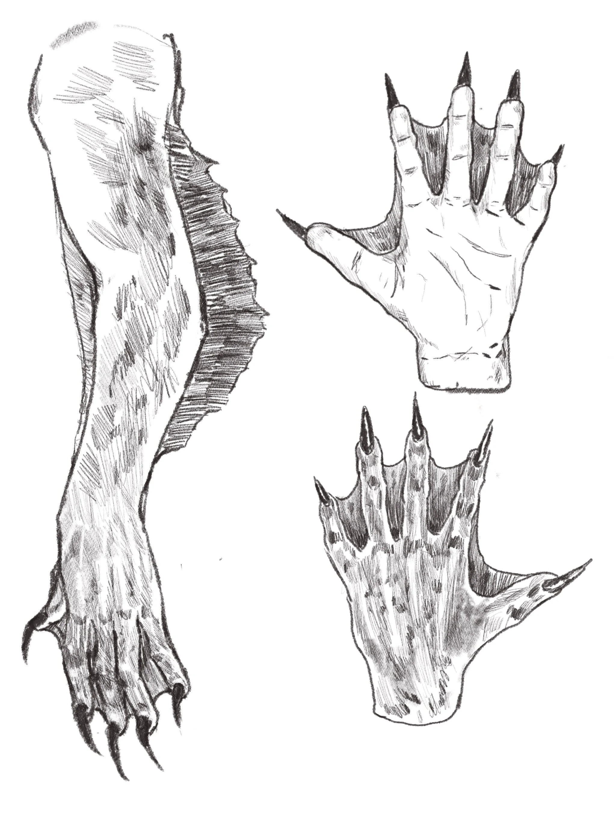 Glove Concept Sketches, 2026