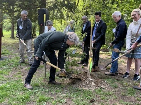 Restoration work for urban park