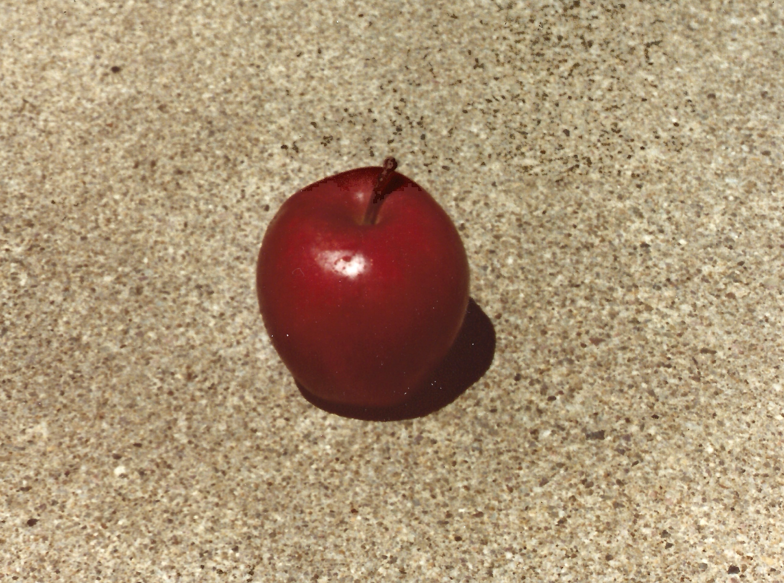 Books I read (or re-read) and loved in 2025.