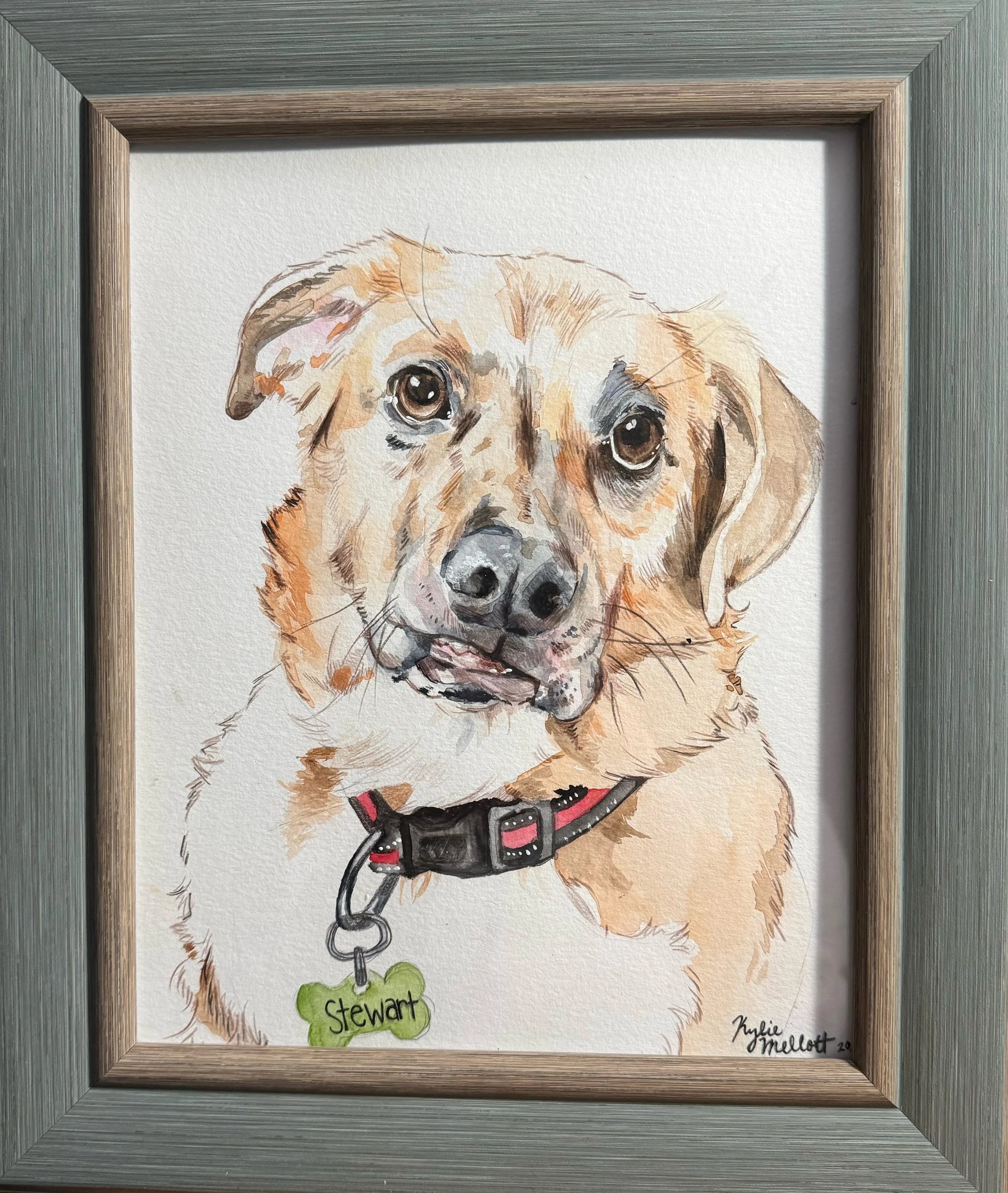 Stewart | Watercolor on paper