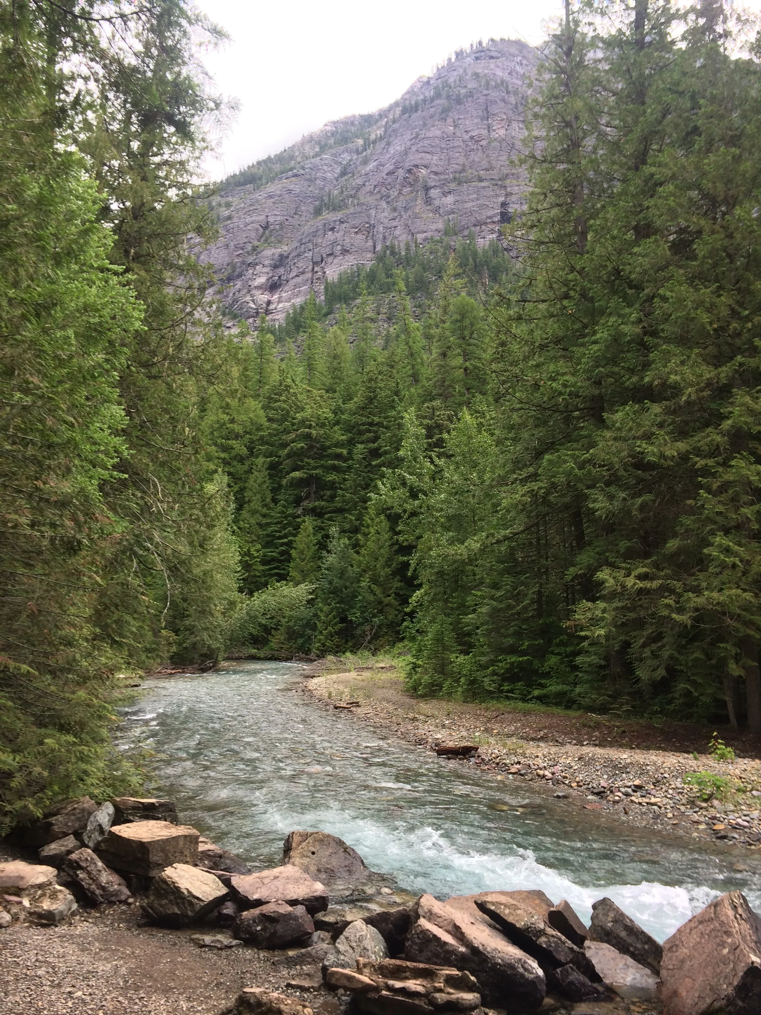 A mountain river flowing through a wooded area with large rocks along the shoreline, and a steep mountain with trees in the background.