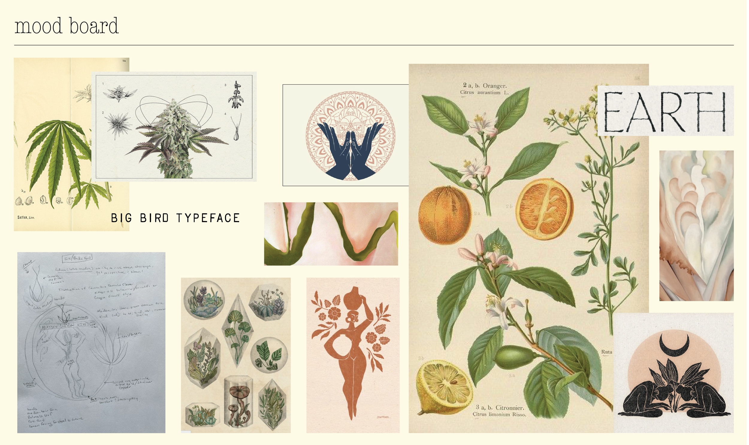 mood board.png