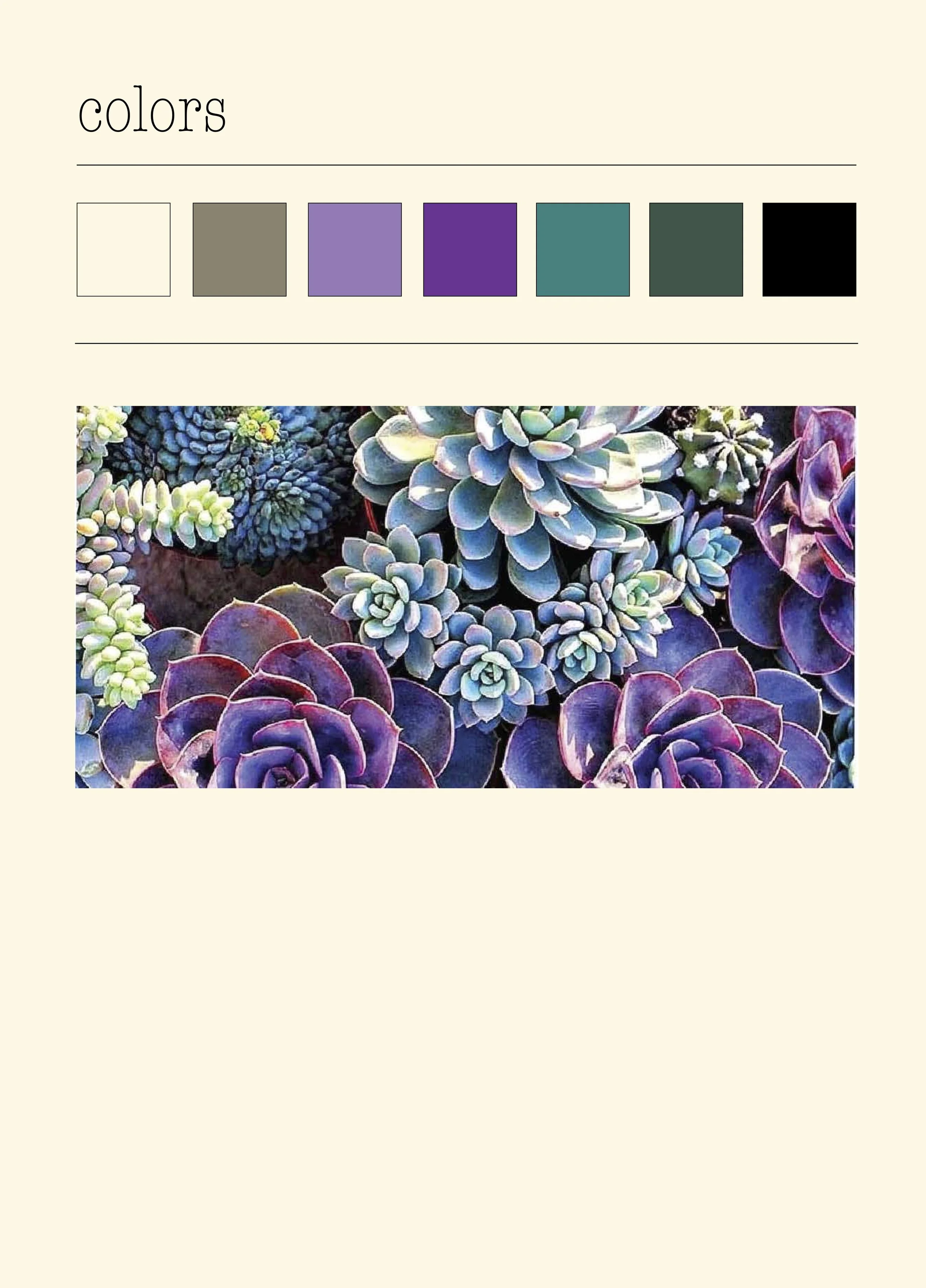 Maiden Kind Logo + Label Suite.jpg