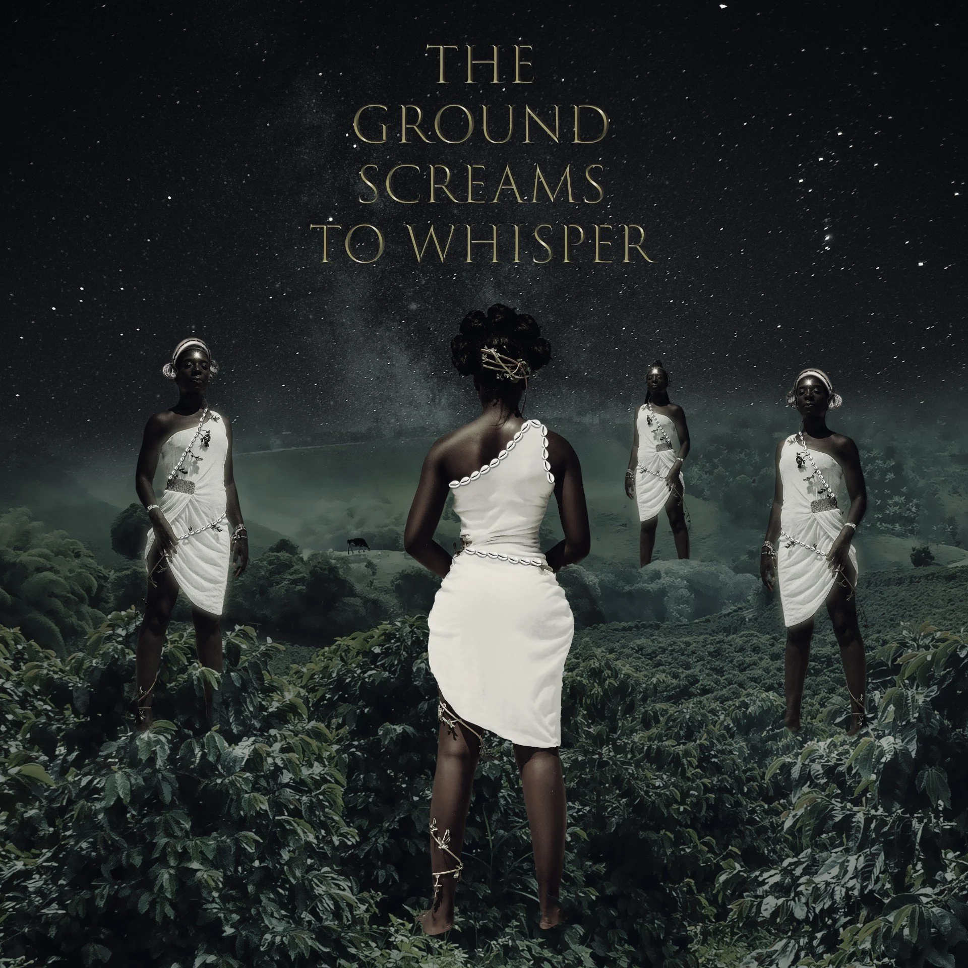 The Ground Screams to Whisper Residency