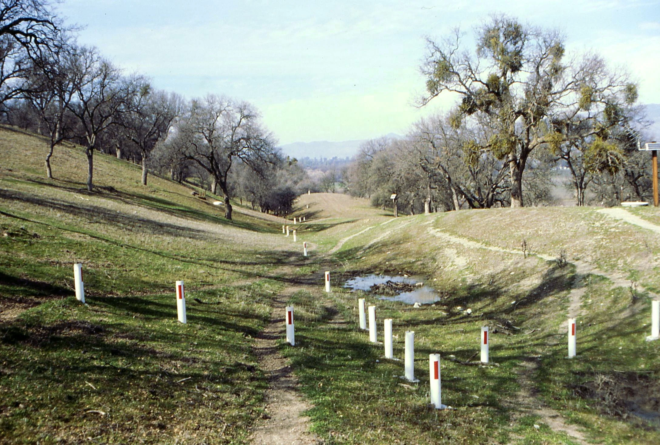 The San Andreas Fault near Parkfield, California in the 1990s with markers for geologic research.