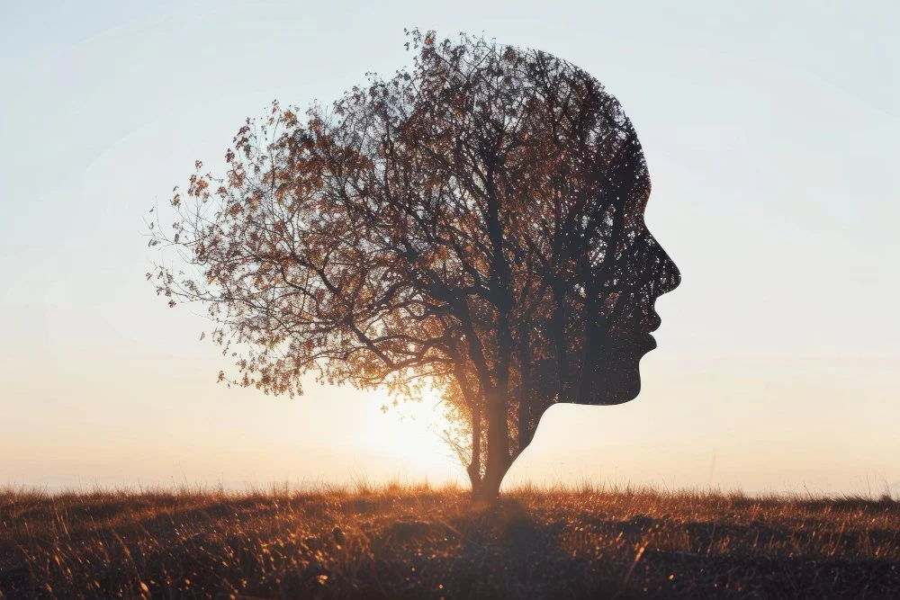 A silhouette of a person's profile with a tree inside their head, against a sunset or sunrise background.