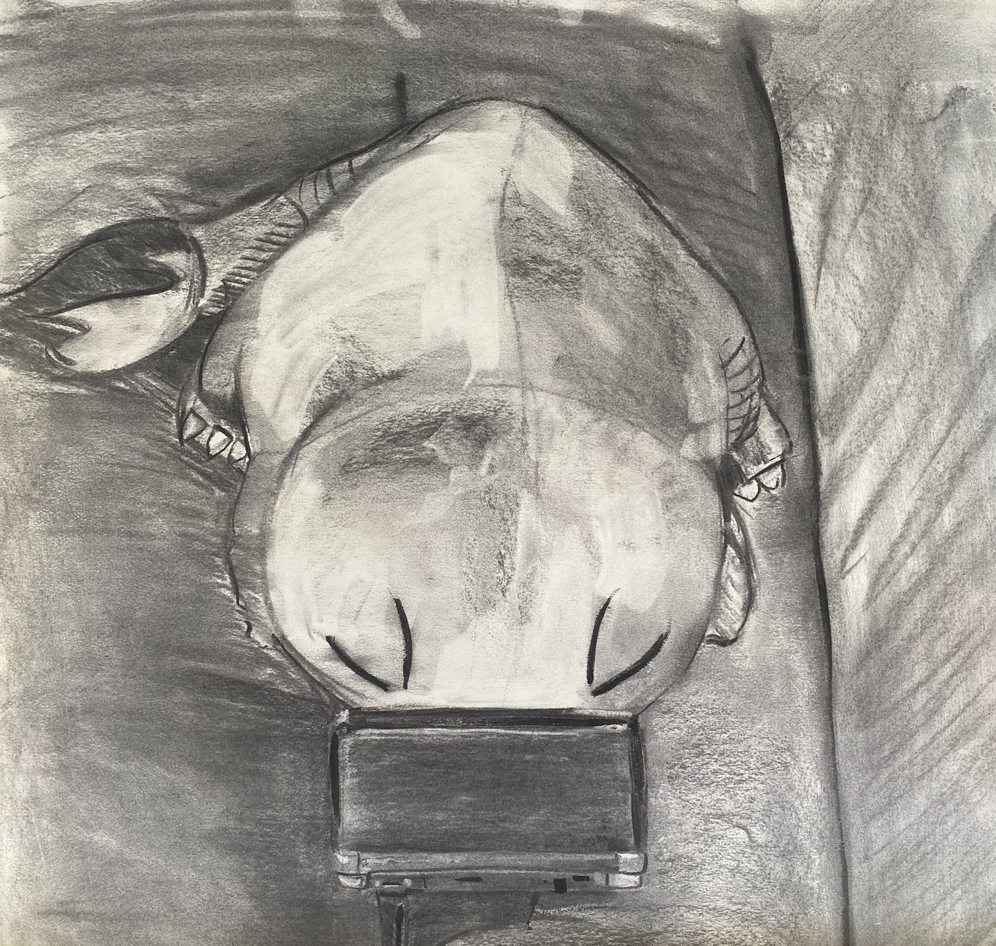 Self Portrait(still life)