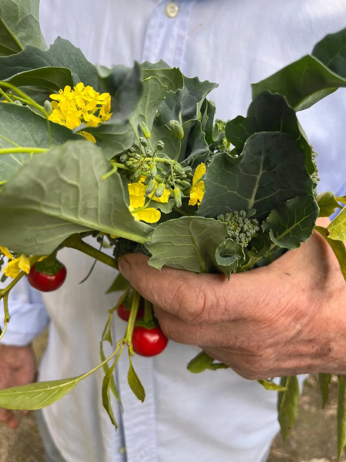 WhatsApp Image 2024-09-04 at 12.19.17.jpeg