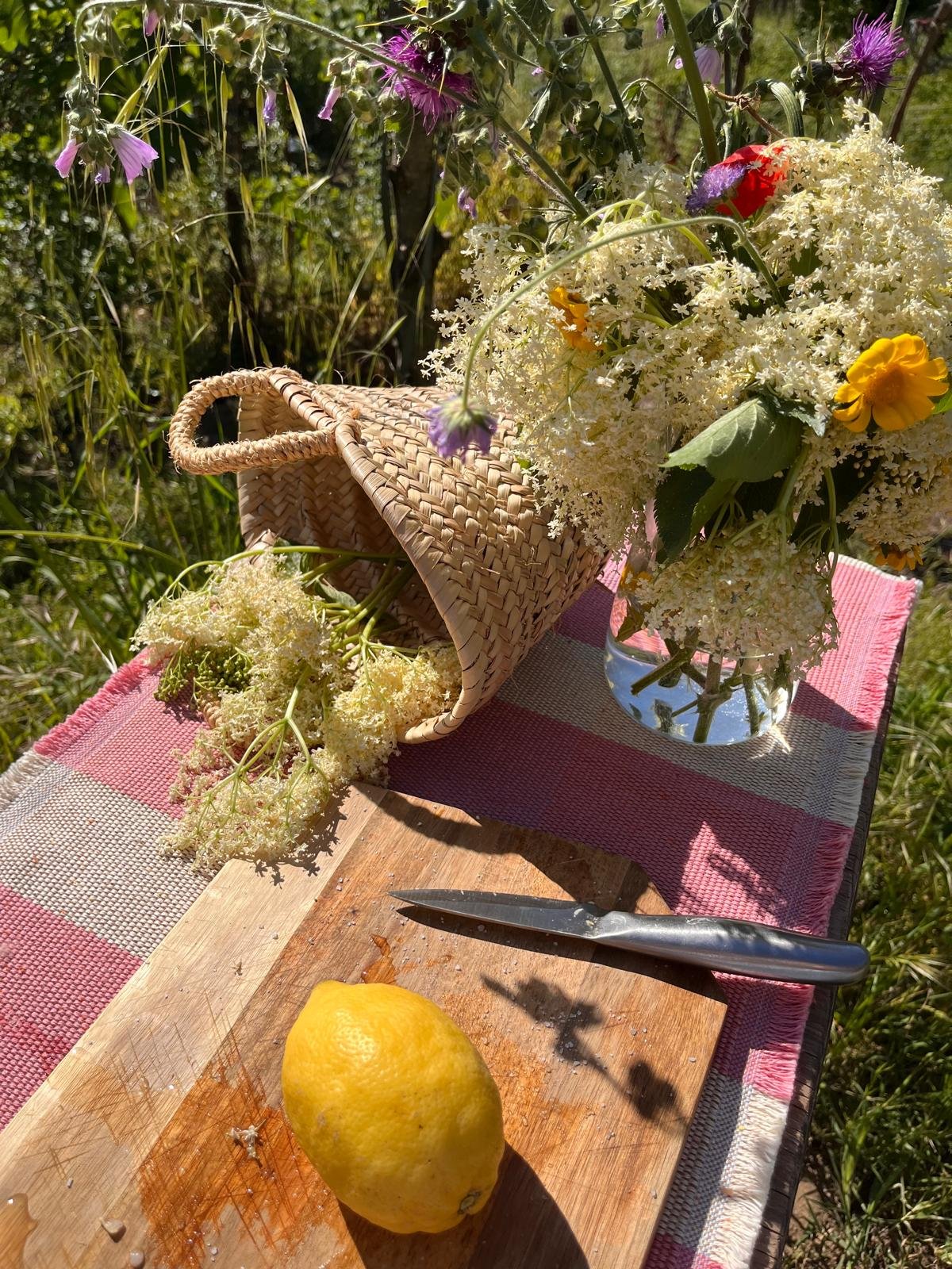 WhatsApp Image 2024-09-04 at 12.19.22 (6).jpeg