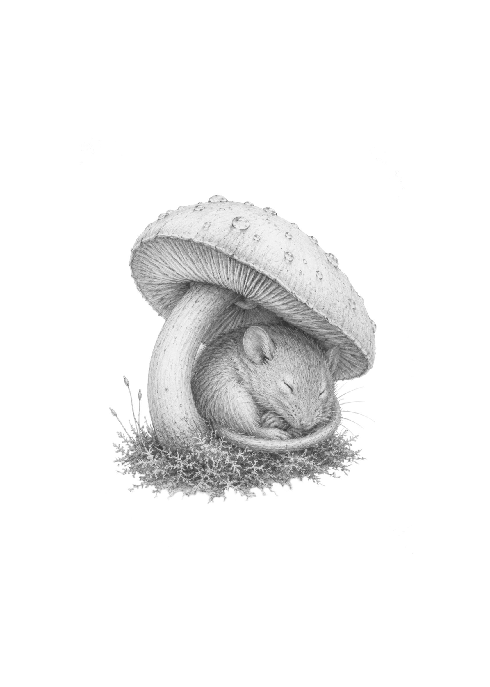IMG_0418.jpeg