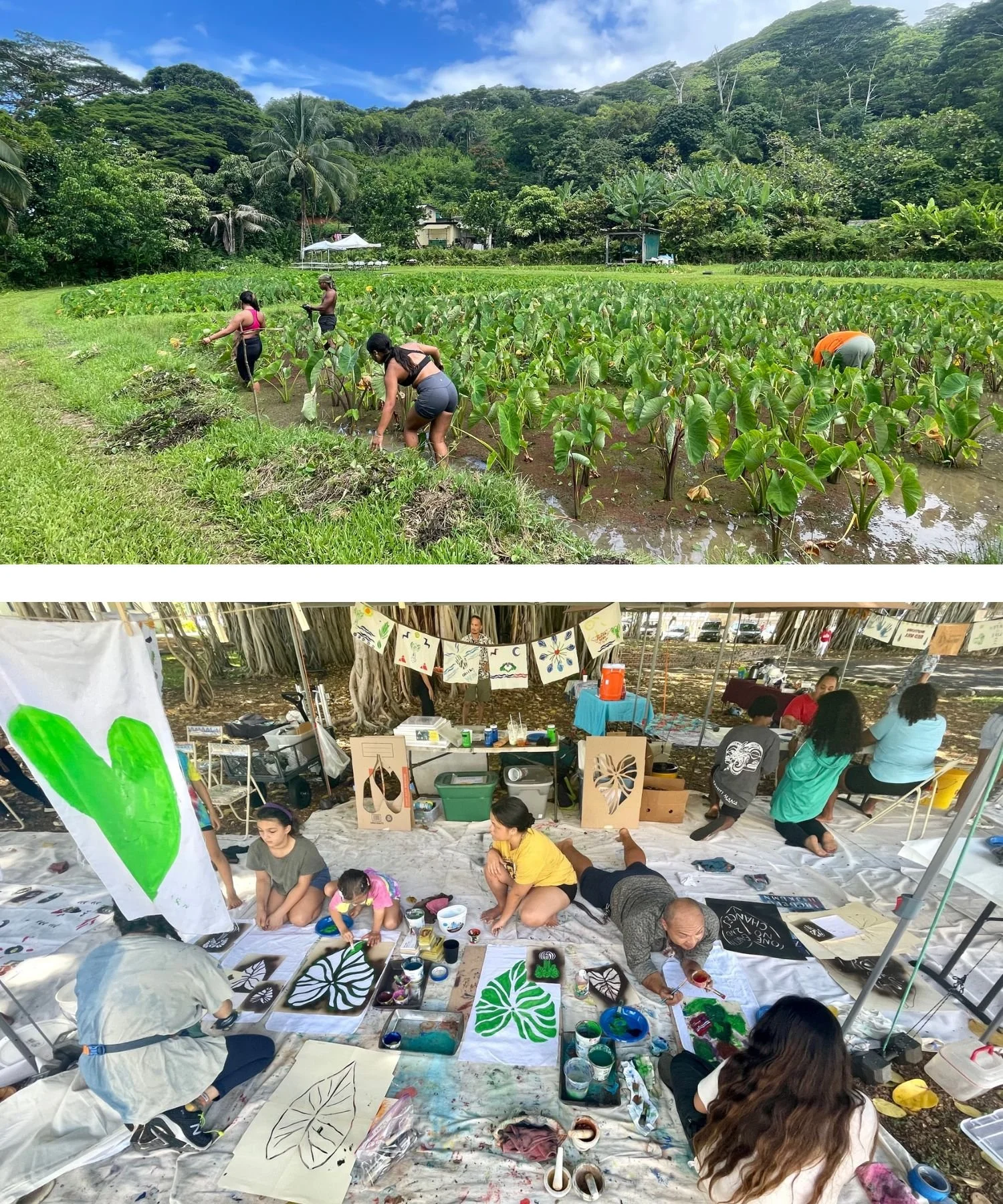 The top image shows people harvesting crops in a lush green field with trees and mountains in the background. The bottom image depicts a group of people participating in an outdoor art activity under a tent, creating leaf-themed artwork on large sheets of paper.