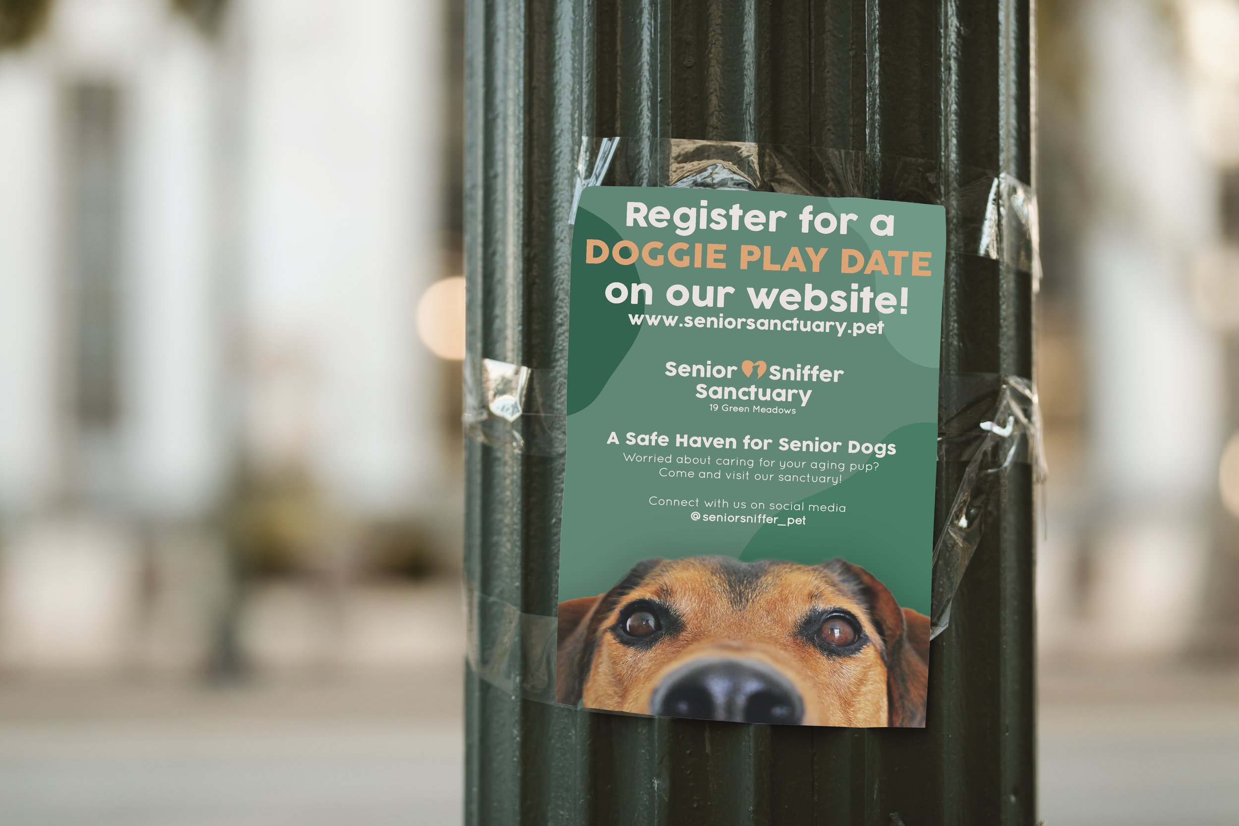 SSS Poster Campaign-05.jpg