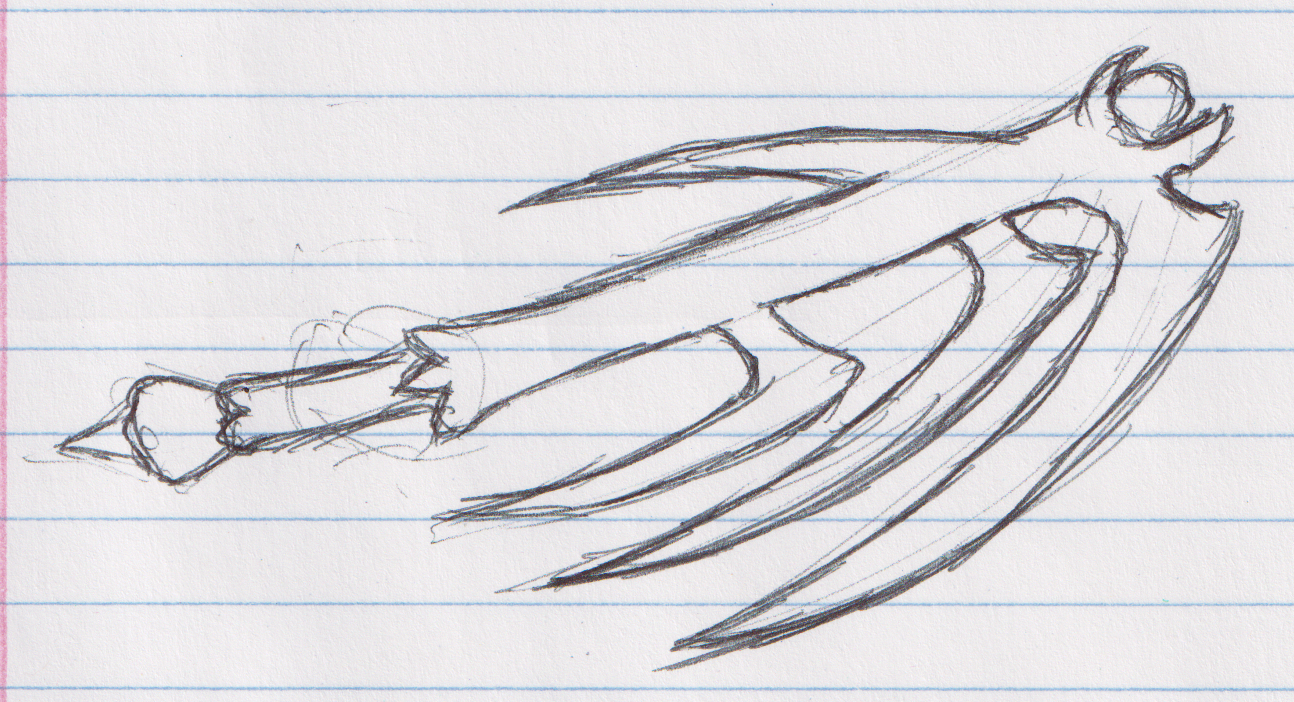Osamenta (Sketch) ✦ July 7, 2026