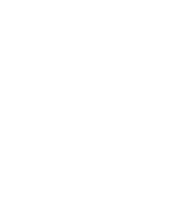 Valor Axis