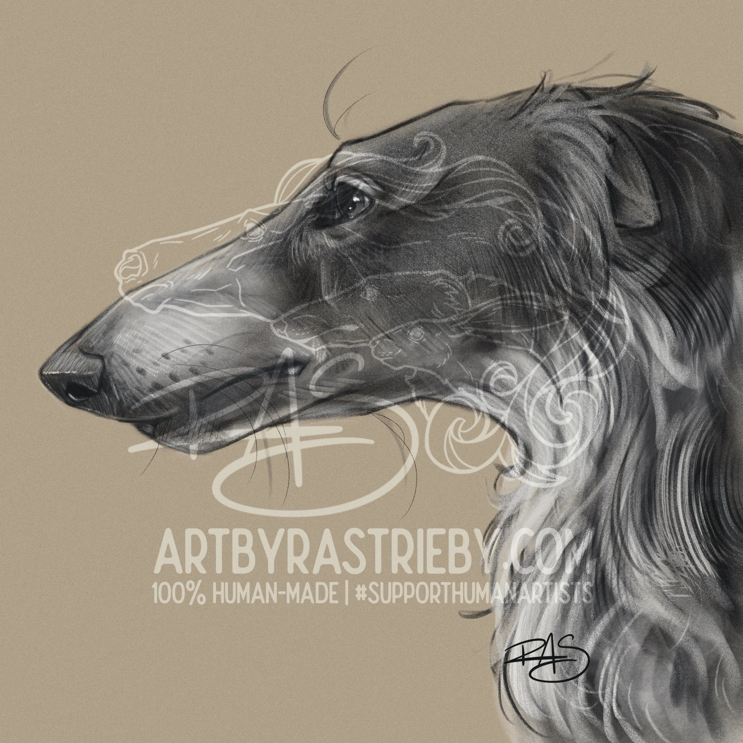 Zoi_Head_Study2wm.jpg