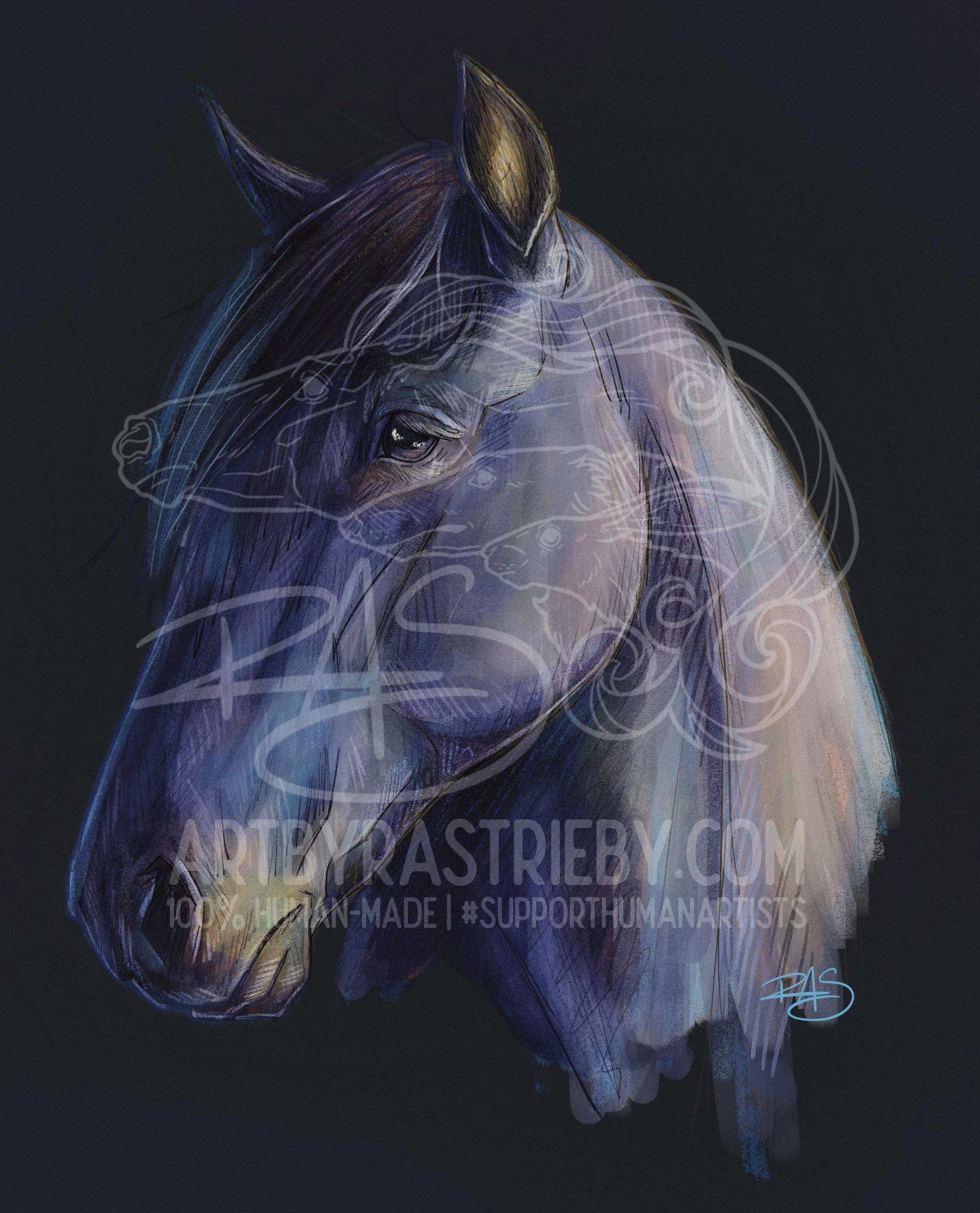 Equine_Head_Studywm.jpg