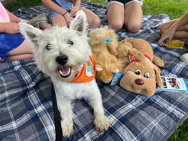 How Does He Know How To Smile?