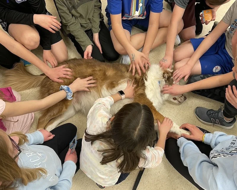 ­Service, Therapy, and Emotional Support Dogs: What’s the Difference?