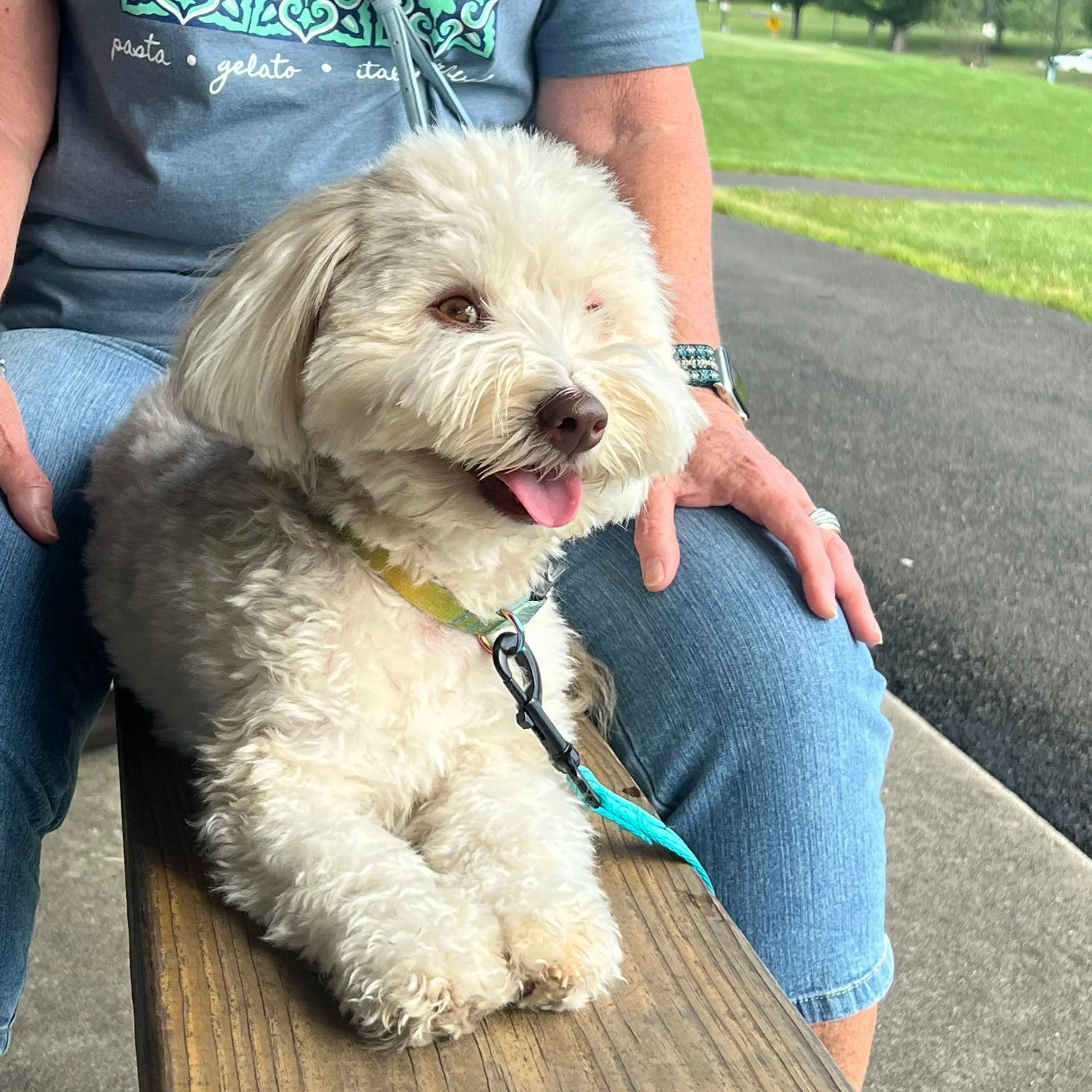 MILO