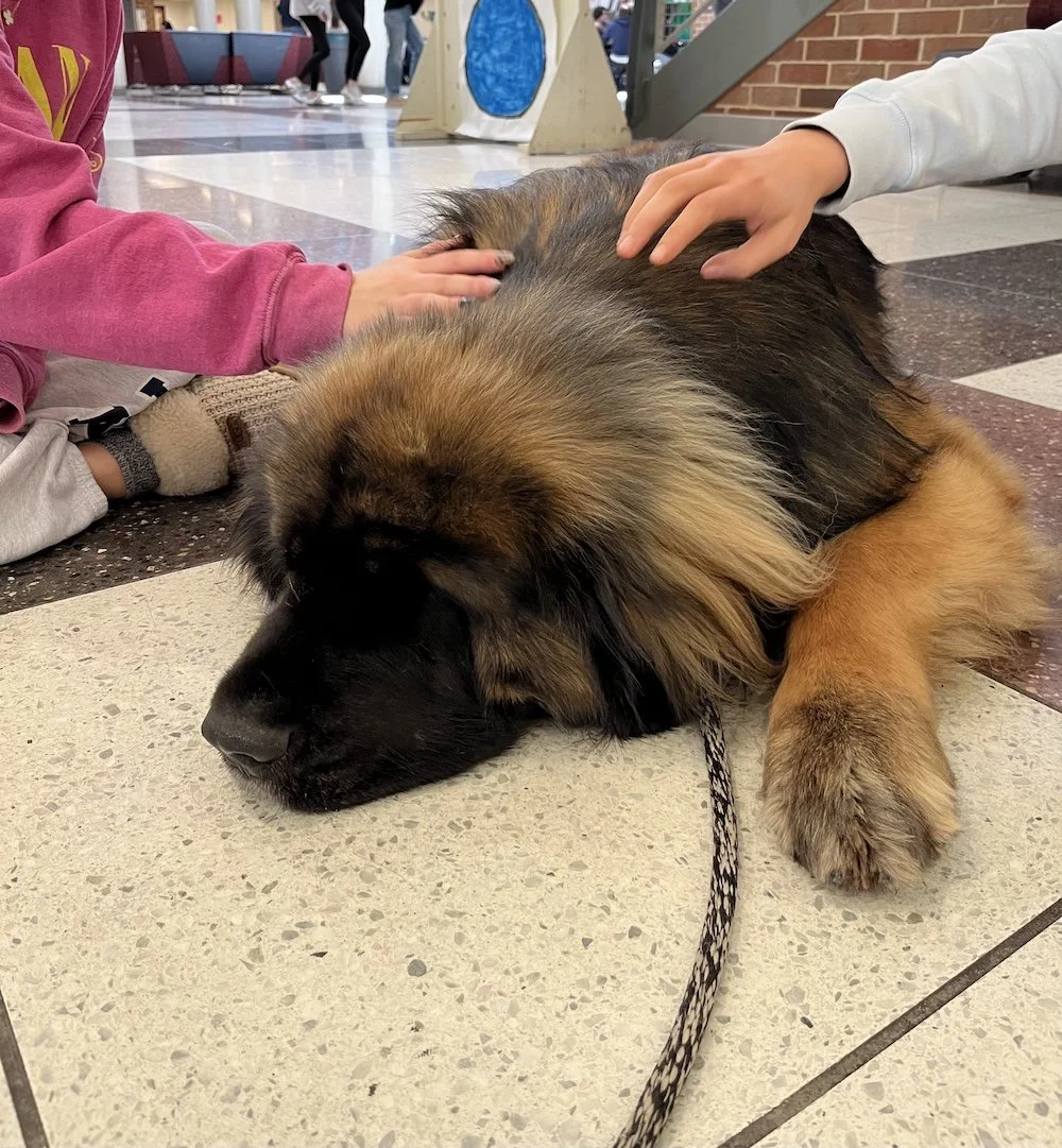 Testimonial for Roxy™ Responders from CB Supervisor of Student Services