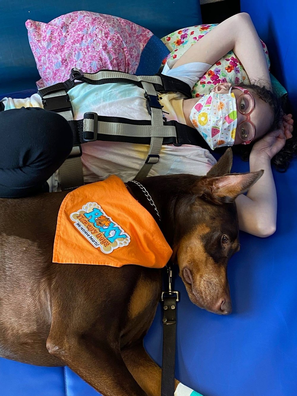 Roxy Therapy Dogs