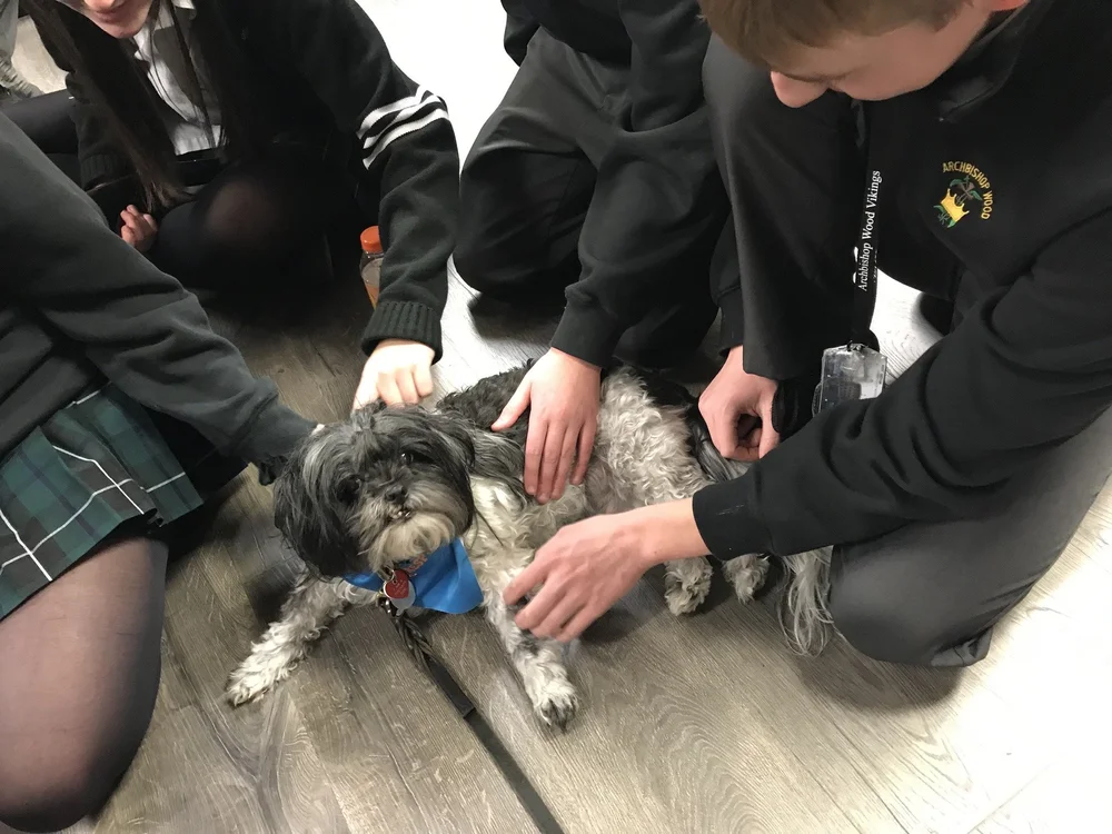 Roxy Therapy Dogs