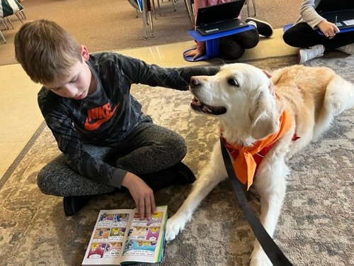 Roxy Therapy Dogs